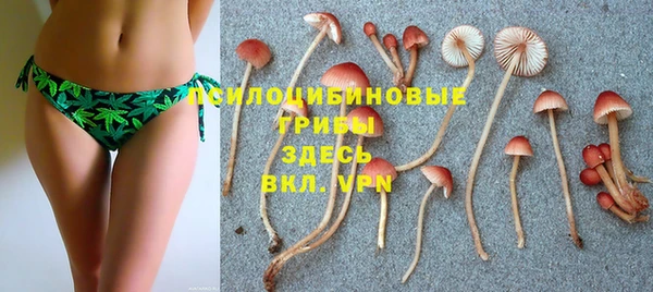 мескалин Аркадак