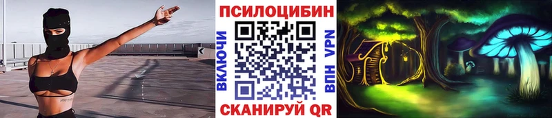 Галлюциногенные грибы Psilocybe  цена   Краснокаменск 