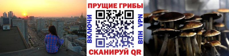 Псилоцибиновые грибы ЛСД Краснокаменск